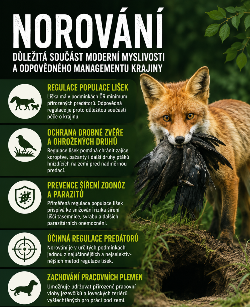NOROVÁNÍ